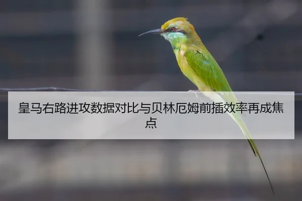 皇马右路进攻数据对比与贝林厄姆前插效率再成焦点