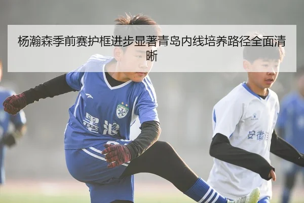 杨瀚森季前赛护框进步显著青岛内线培养路径全面清晰